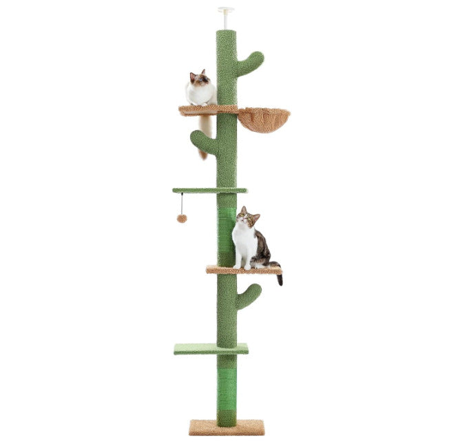 サボテンタワー