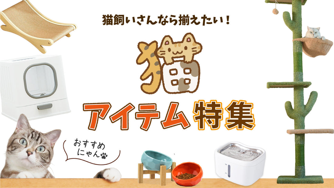 猫飼いさんなら揃えたい！おすすめ猫アイテム特集！