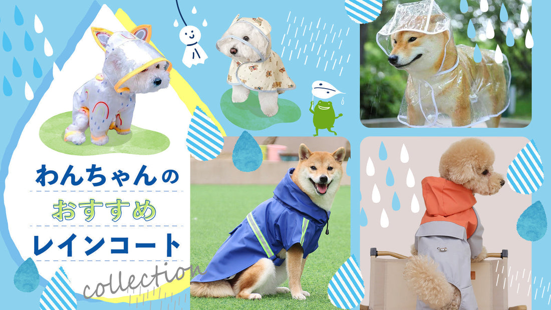 雨粒なんてへっちゃら！わんちゃんのレインコートコレクション