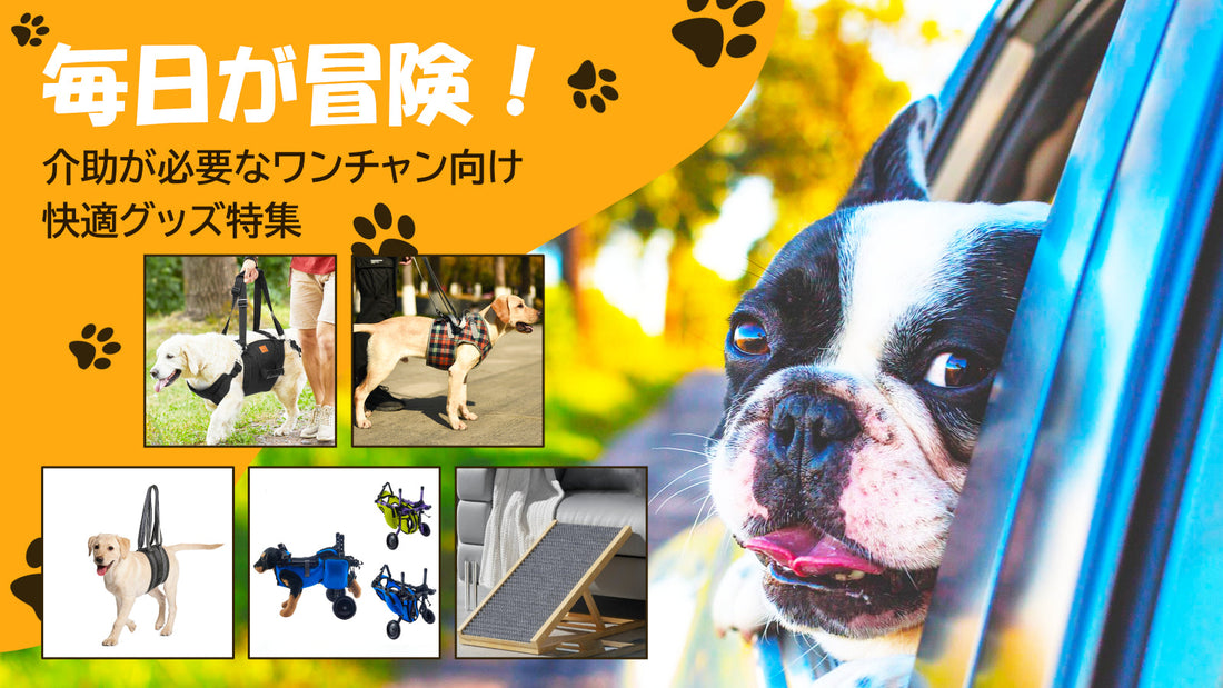 毎日が冒険！介助が必要なワンチャン向け快適グッズ特集