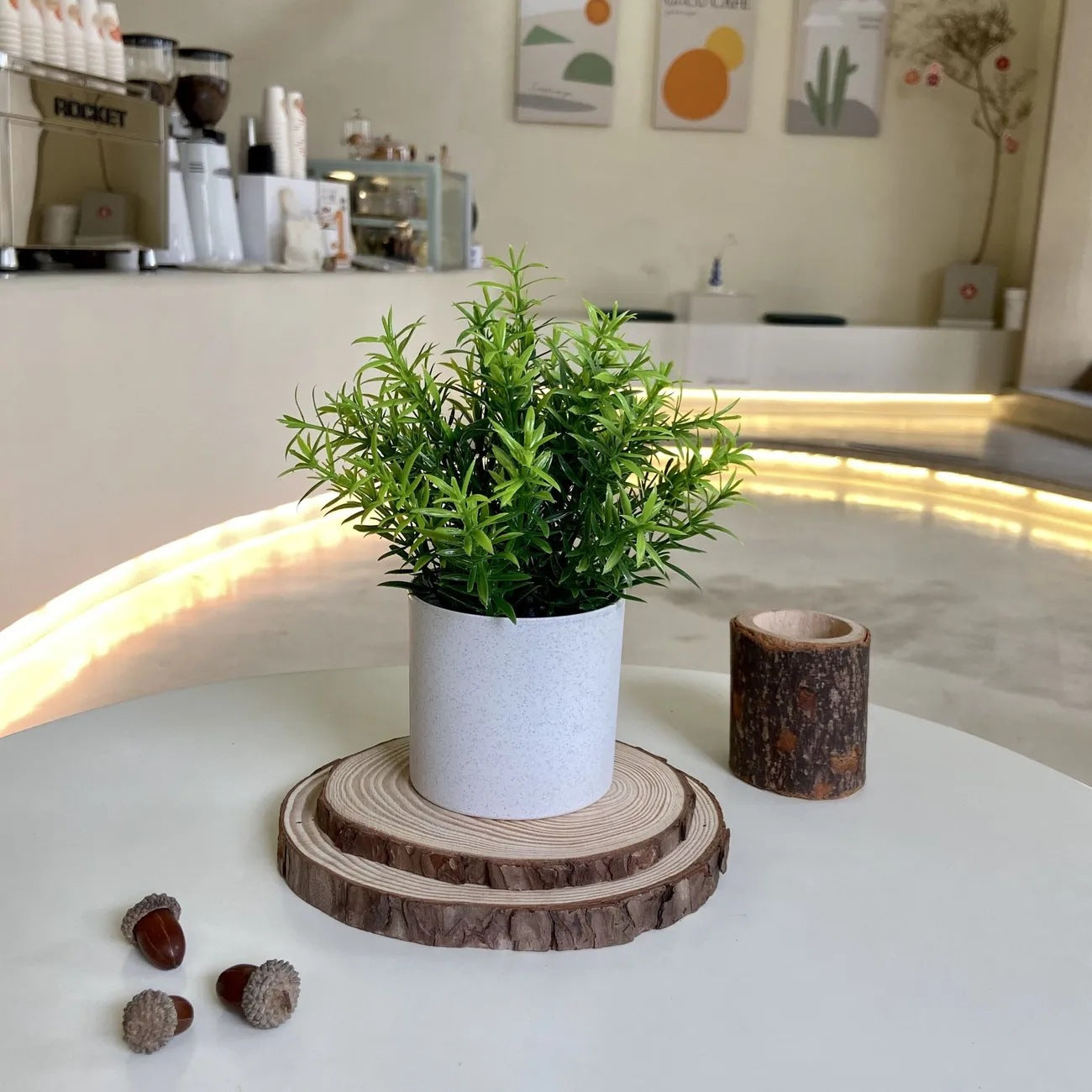 デイライトグリーン・ポット