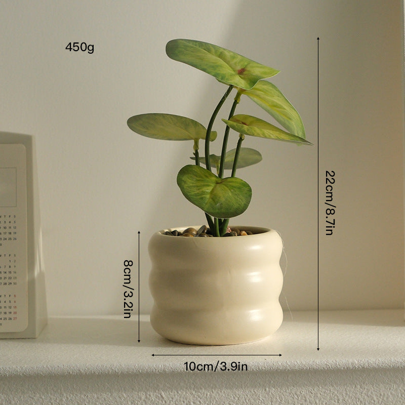 大人の空間に寄り添う、静かなるグリーン
