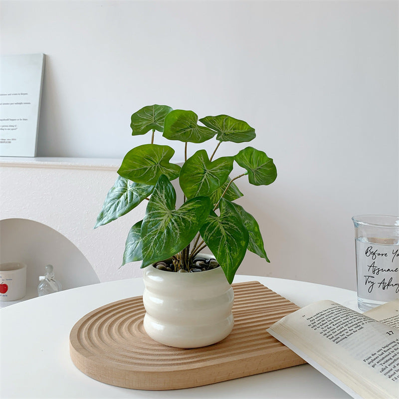 南国風の葉のフェイクグリーン