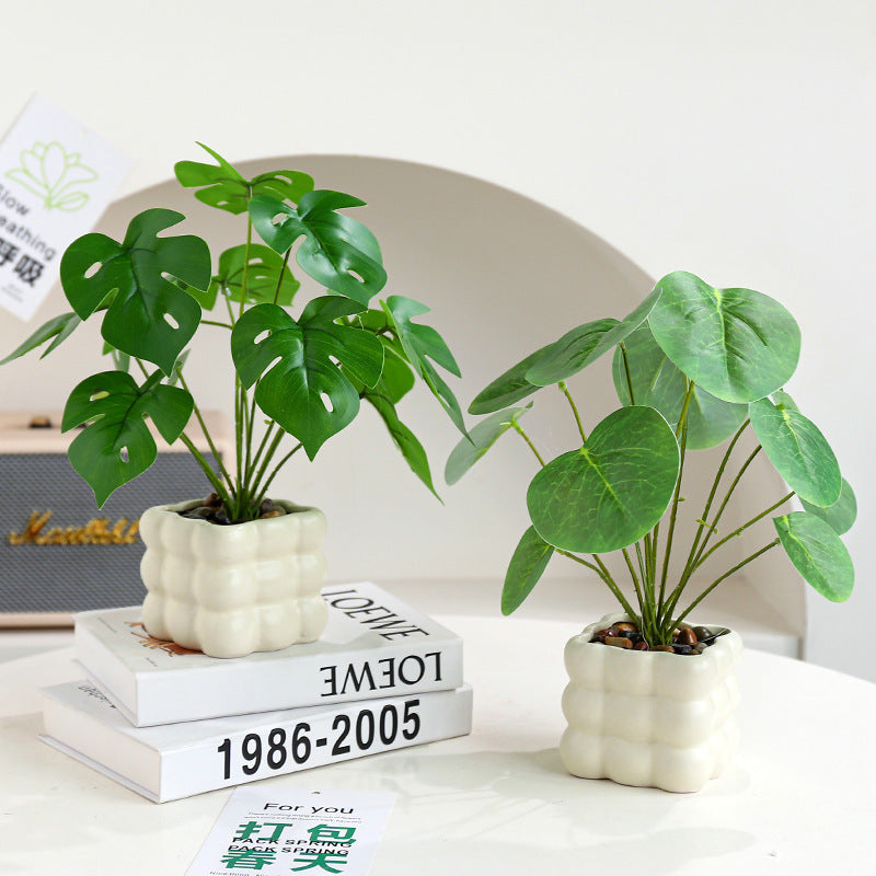 洗練されたフェイクグリーン