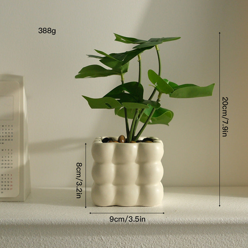 大人の空間に寄り添う、静かなるグリーン