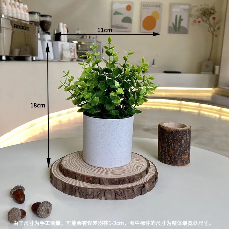 デイライトグリーン・ポット