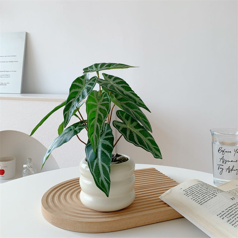 南国風の葉のフェイクグリーン