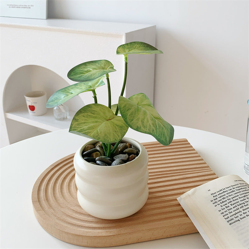 南国風の葉のフェイクグリーン