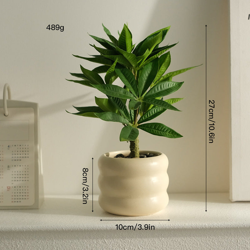 大人の空間に寄り添う、静かなるグリーン