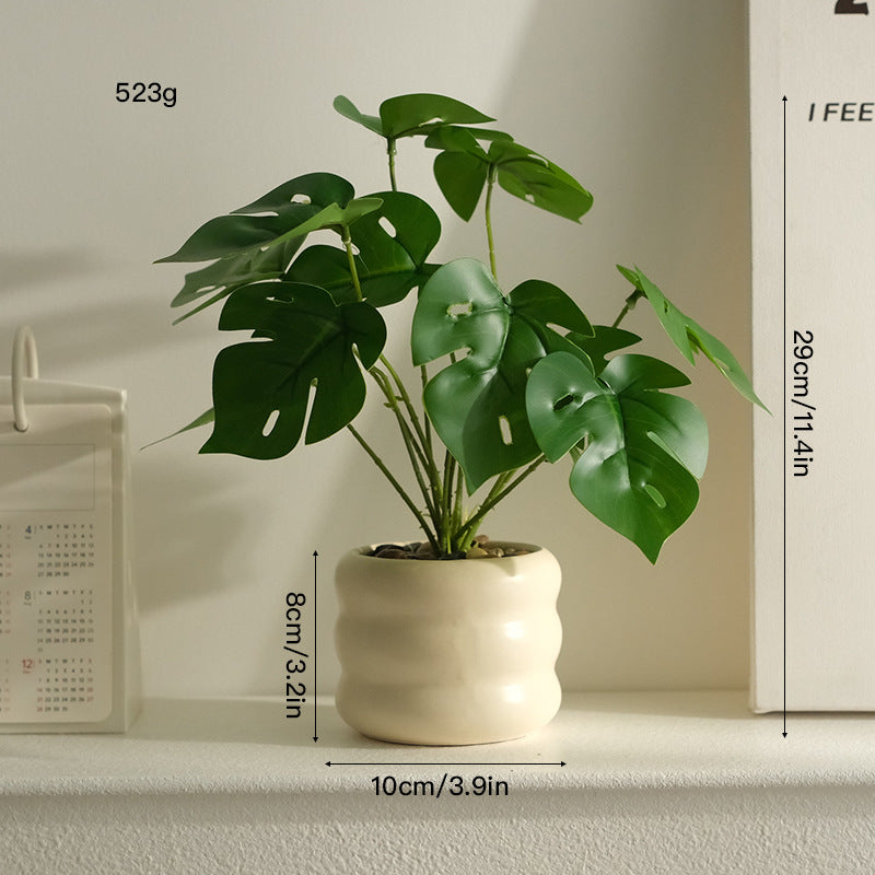 大人の空間に寄り添う、静かなるグリーン