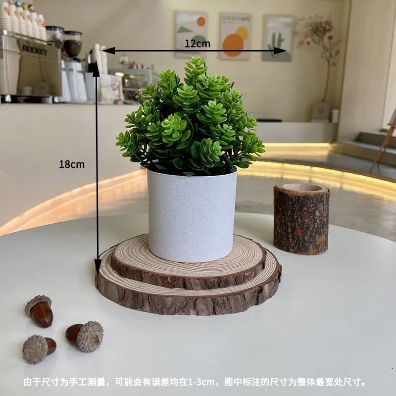 デイライトグリーン・ポット