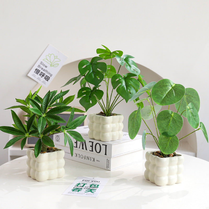 洗練されたフェイクグリーン