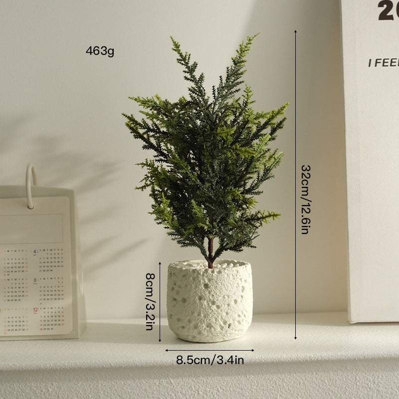 大人の空間に寄り添う、静かなるグリーン