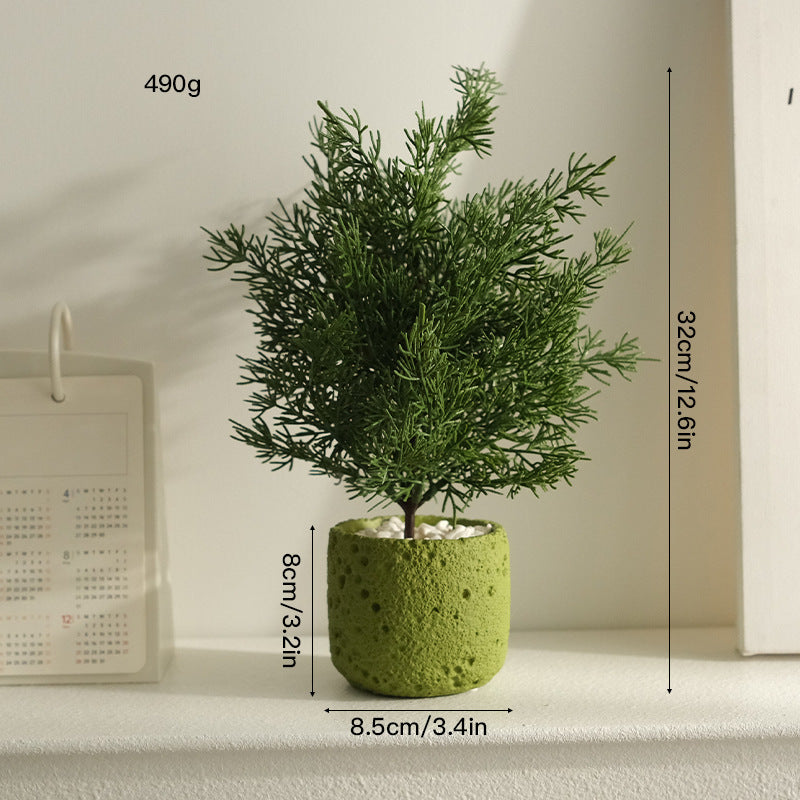 大人の空間に寄り添う、静かなるグリーン