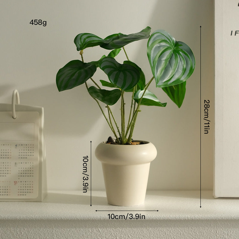 大人の空間に寄り添う、静かなるグリーン