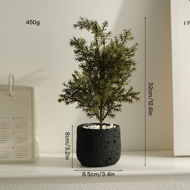 大人の空間に寄り添う、静かなるグリーン