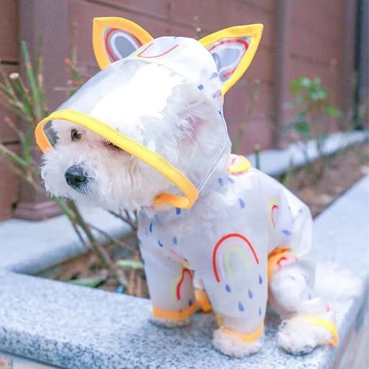 虹色レインコート